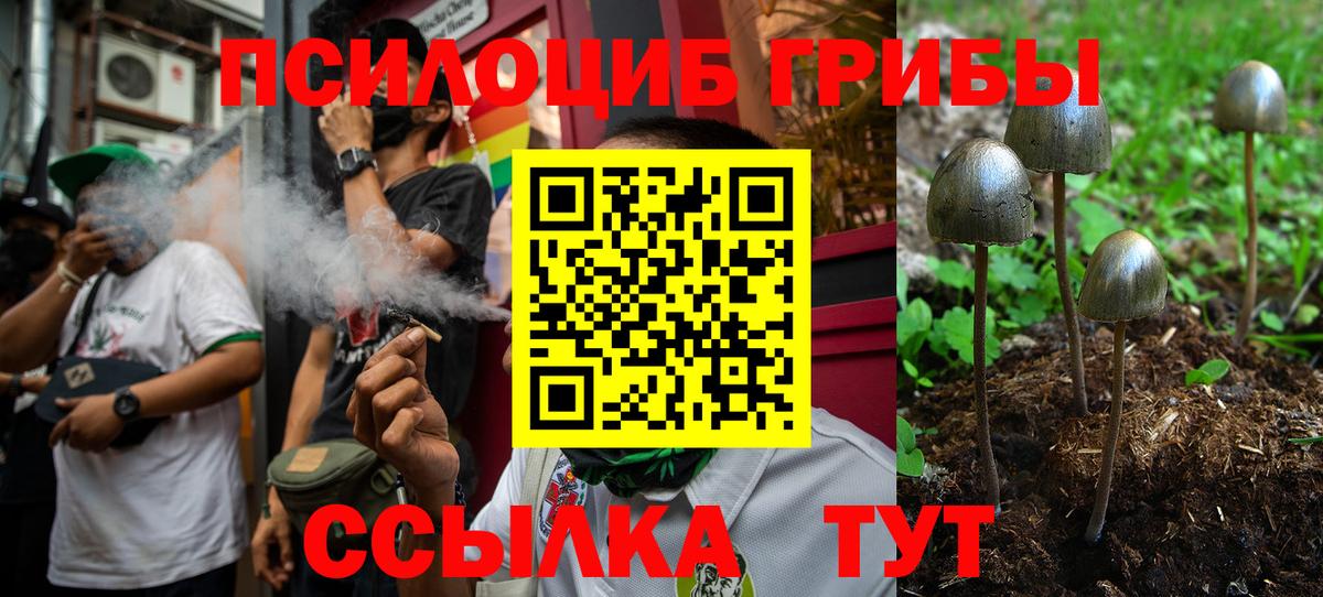 Галлюциногенные грибы Psilocybine cubensis Йошкар-Ола