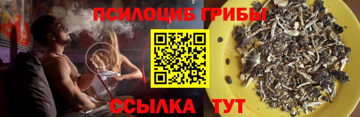Псилоцибиновые грибы Magic Shrooms  Галлюциногенные грибы GOLDEN TEACHER  Йошкар-Ола  Вход с VPN 